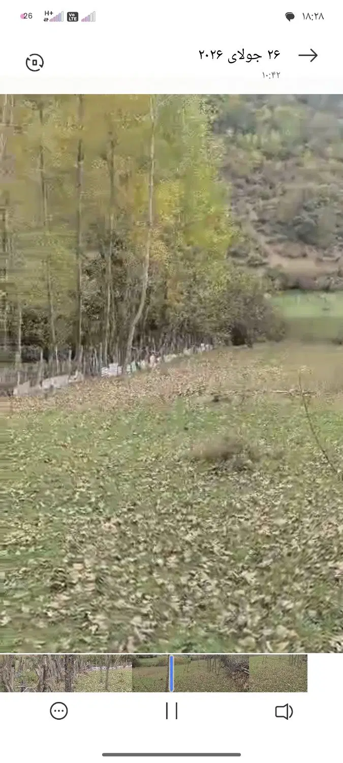فروش ملک ییلاقی در کجور