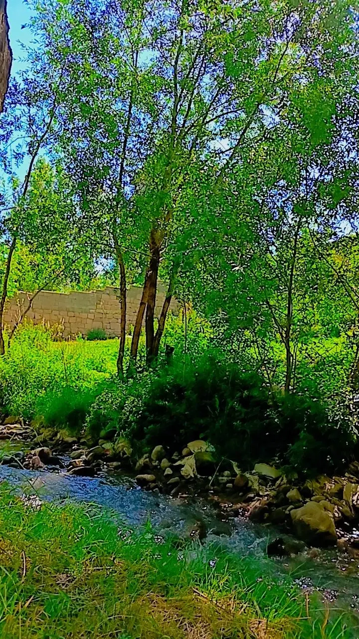 یک قطعه باغ