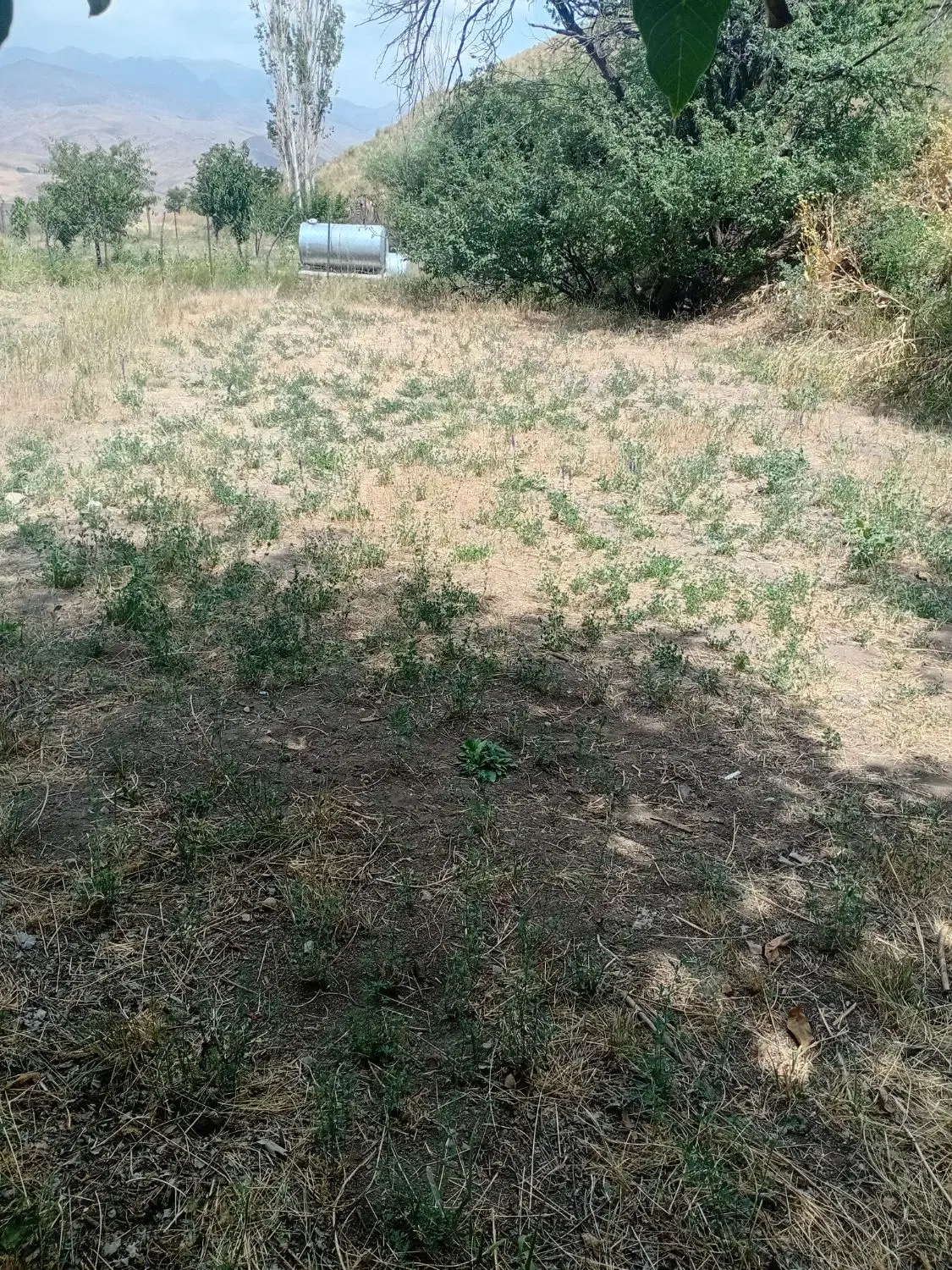 ۱۴۰ متر زمین داخل بافت سنگبان