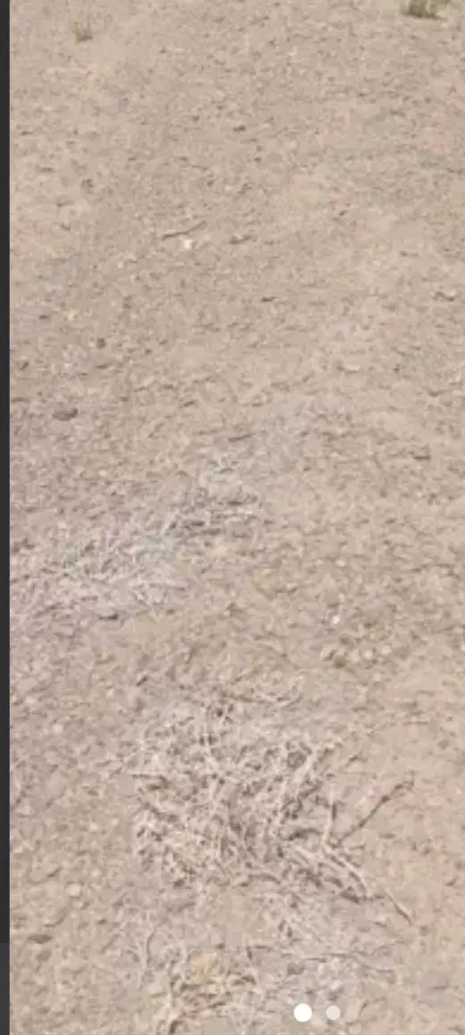 زمین  مناسب سرمایه گذاری
