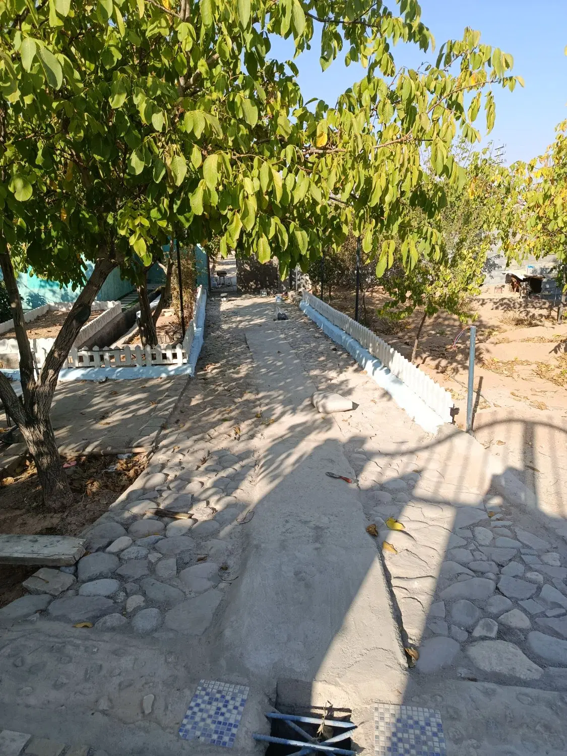 فروش یک قطعه باغ