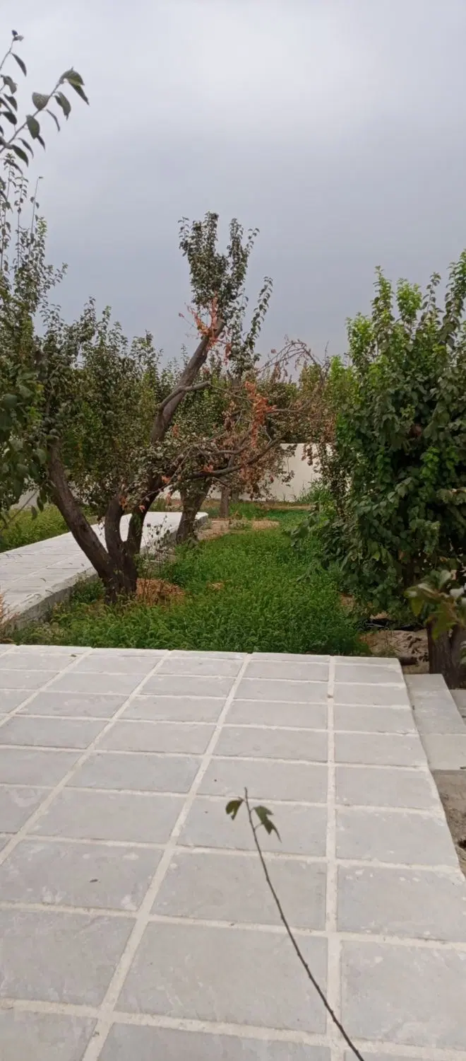 باغ