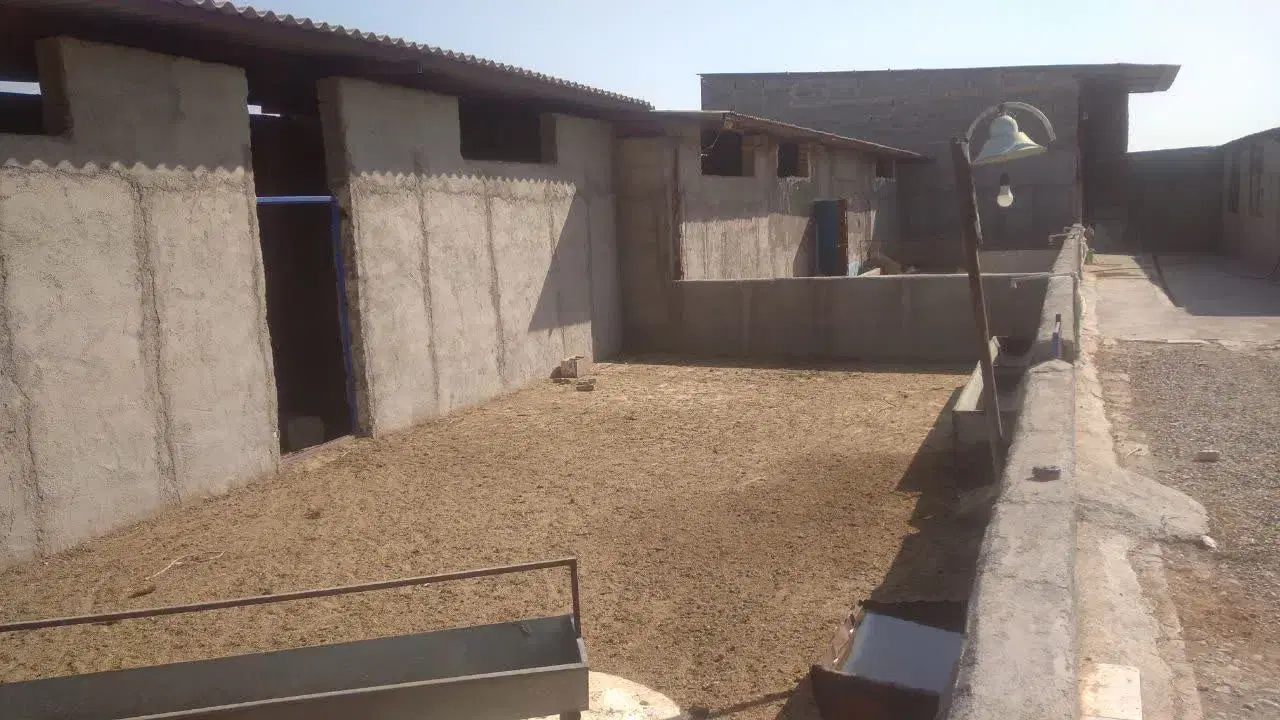 اجاره ۱۴۰ متر دامداری