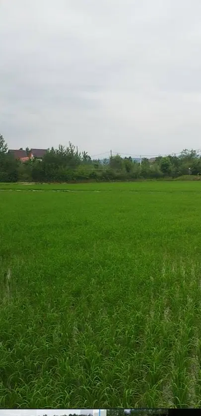 بیجار ۲۷۰۰ متر