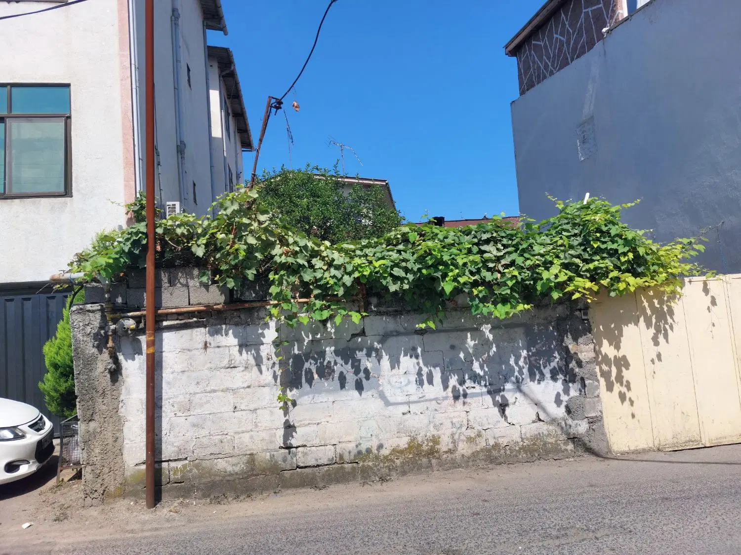 ویلای حیاط دار  ۴ اتاقه  داخل شهر جهت اجاره