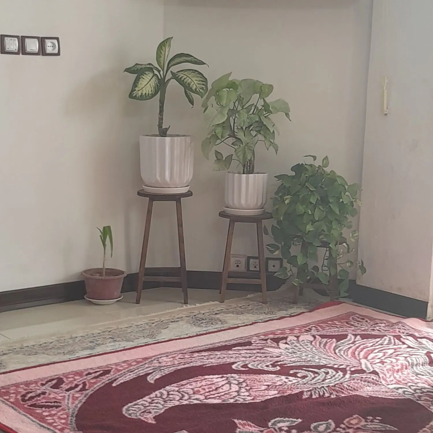 اجاره منزل مسکونی