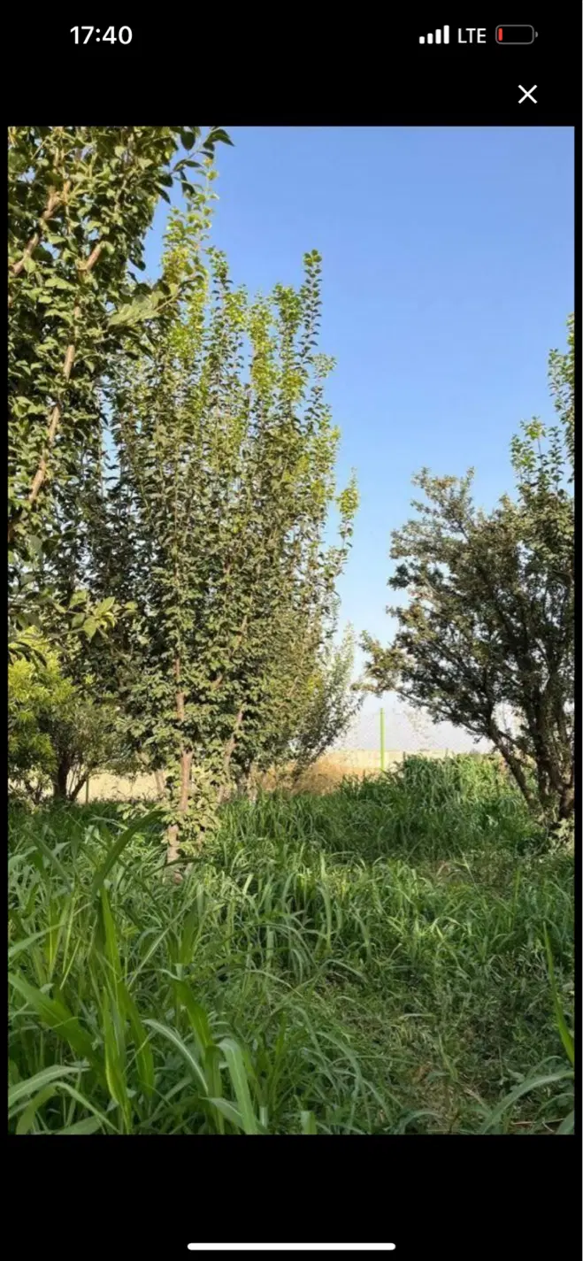 باغ میوه ۵۵۰ متری شهرکی اب برق