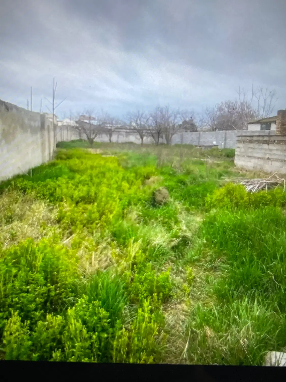 زمین باغی