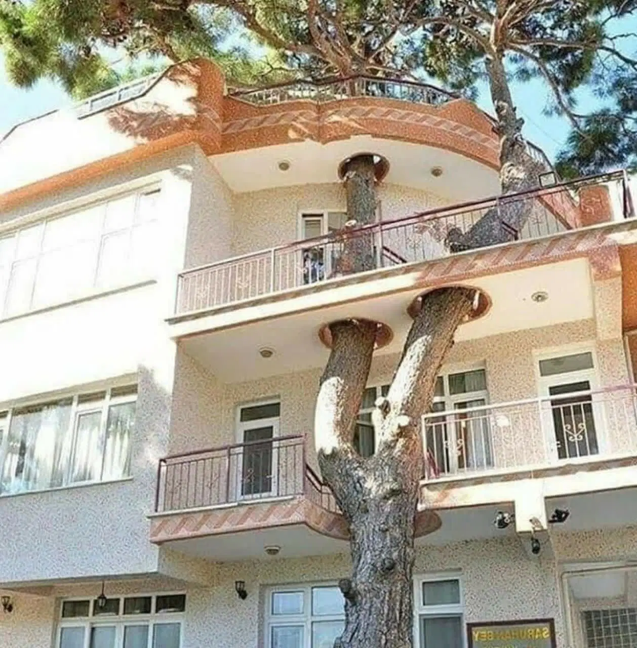 همخونه