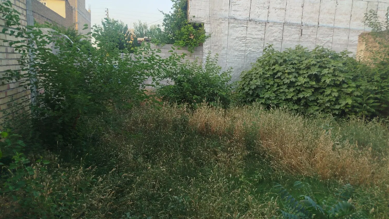 فروش زمین مسکونی در شهرستان گالیکش