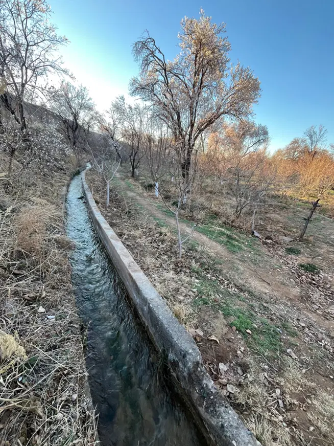 باغ روستای رازین