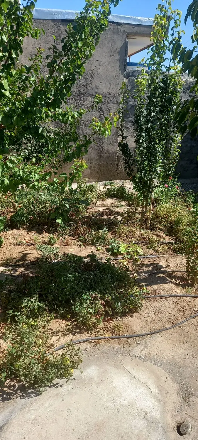 ویلایی سند دار