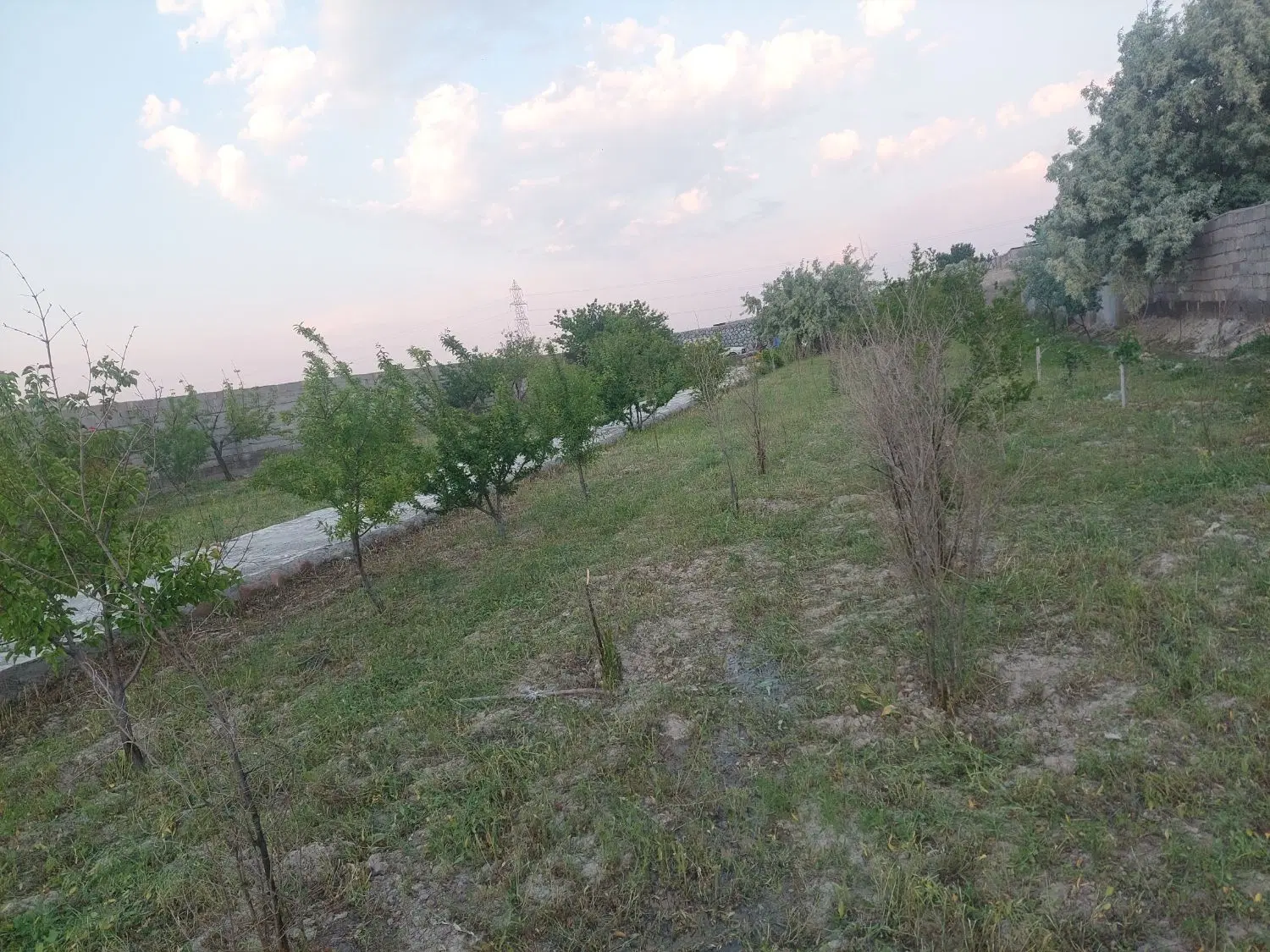 باغ درباغمعرف کوی بهاران شیخ حسن