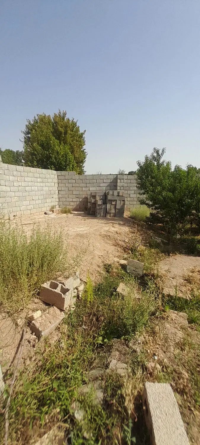 یک عدد باغ باغچه حدود ۱۵۰ متری