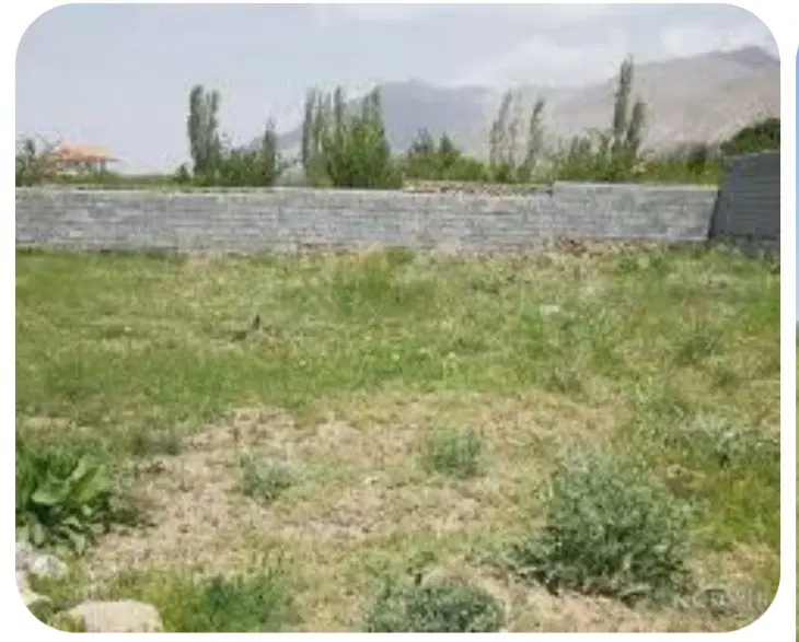 زمین