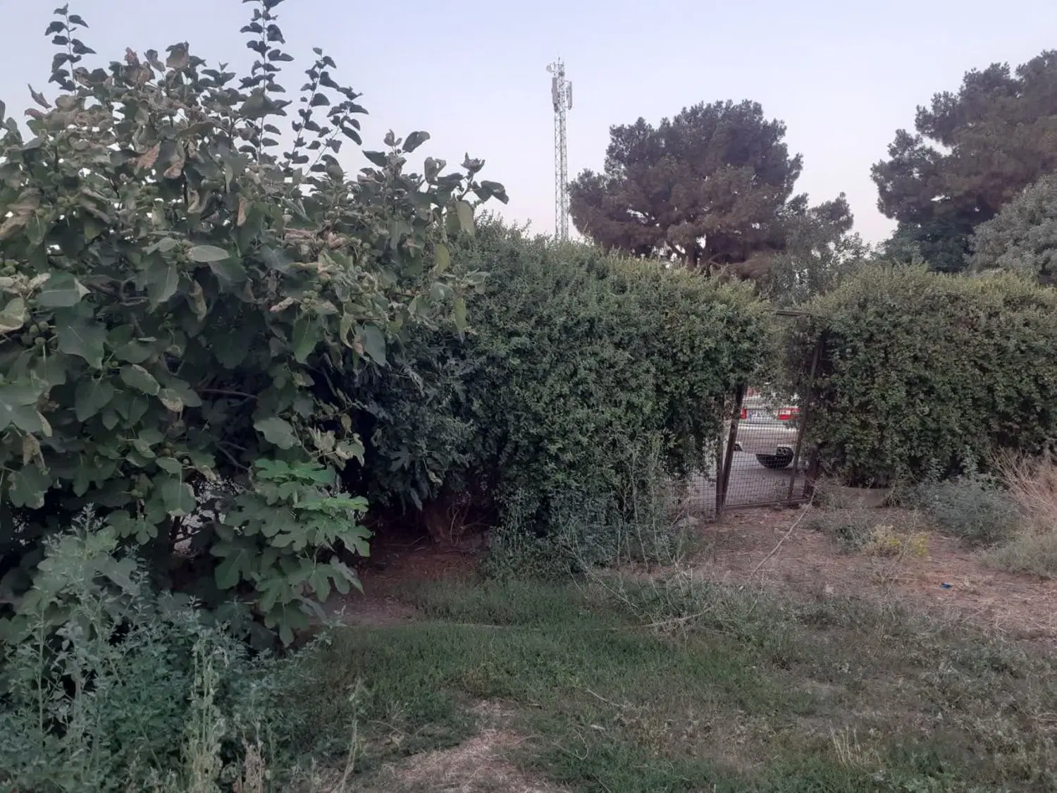 فروش و اجاره