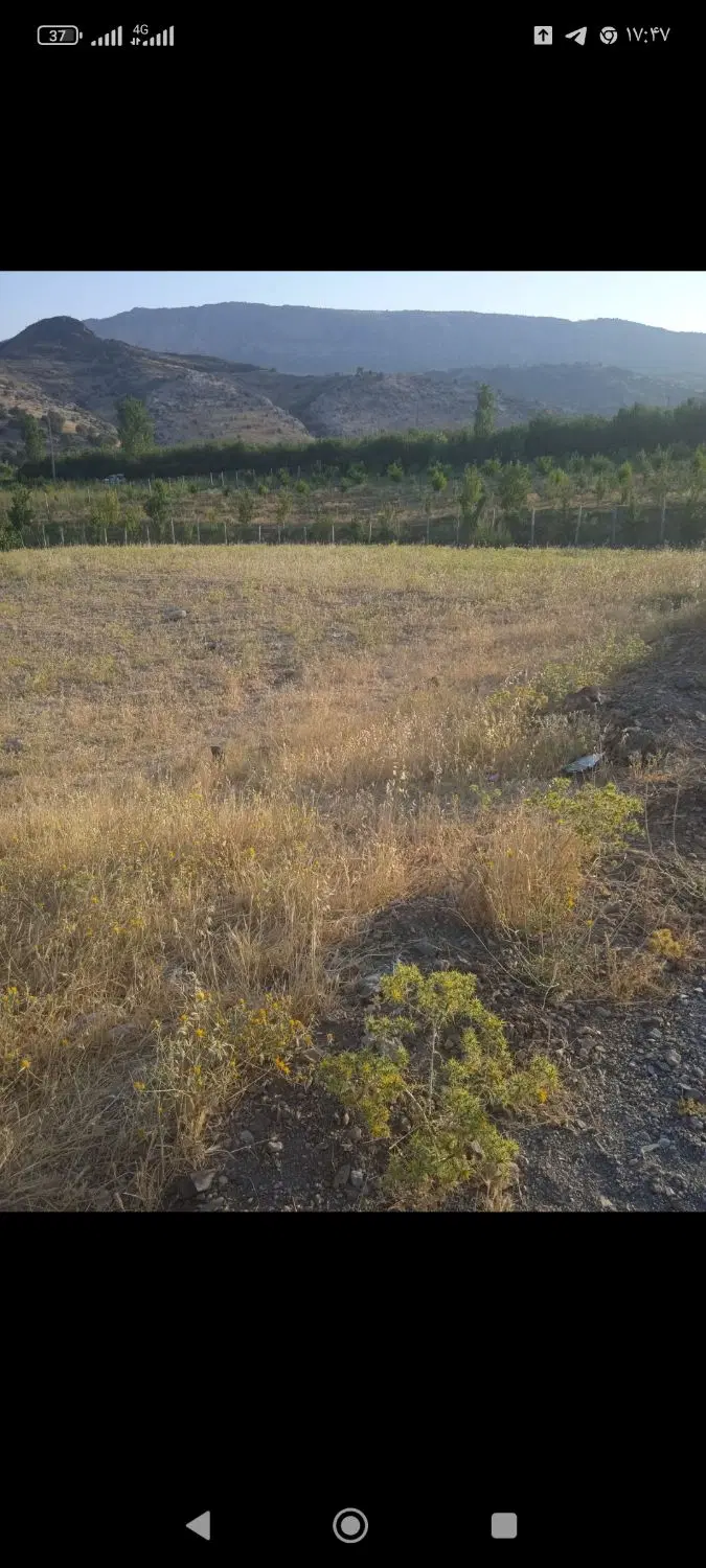 زمین کشاورزی