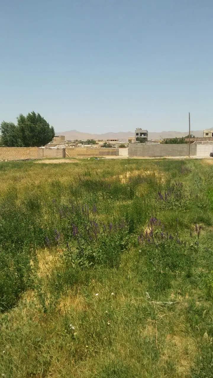 زمین کشاورزی در دیزج اباد