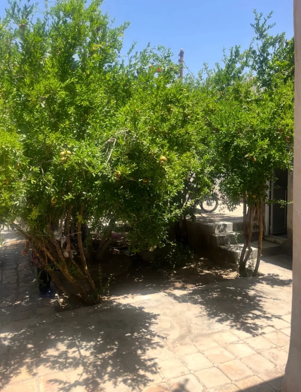 خانه ویلایی