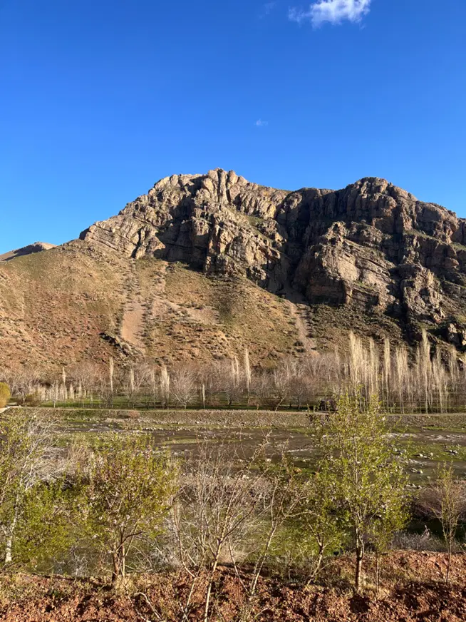 زمین تجاری و مسکونی