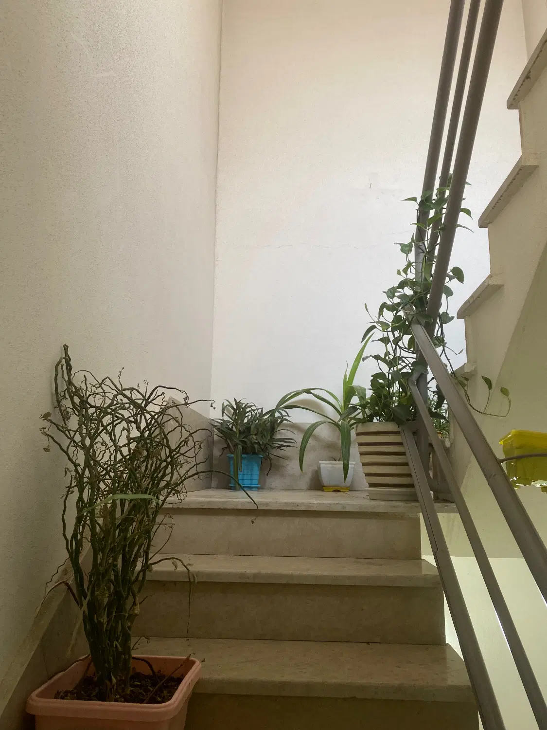 خانه دوطبقه دربست فروشی