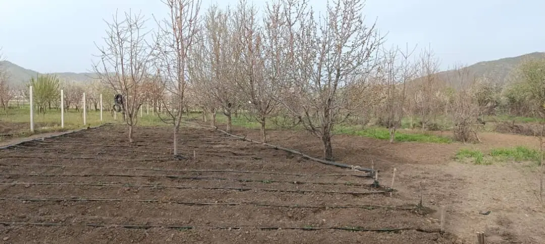 خانه باغ