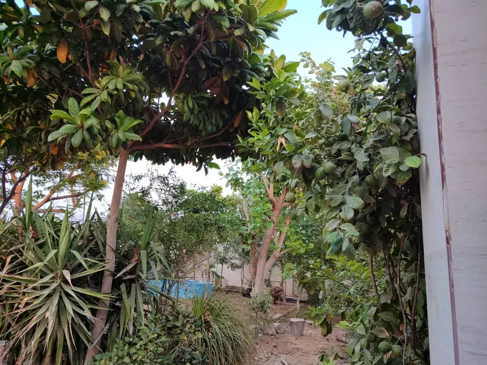 اجاره باغ ویلا، دورهمی مراسم