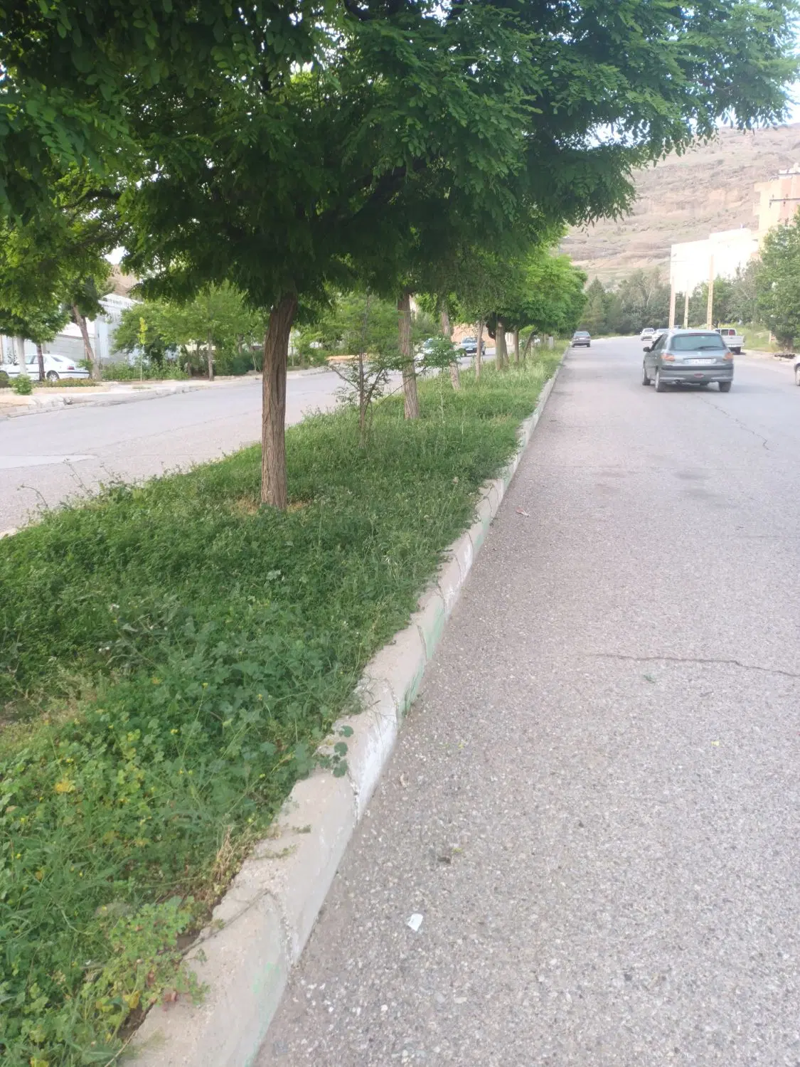 اجاره مغازه ۳۶متری جلوی ضامن آهو