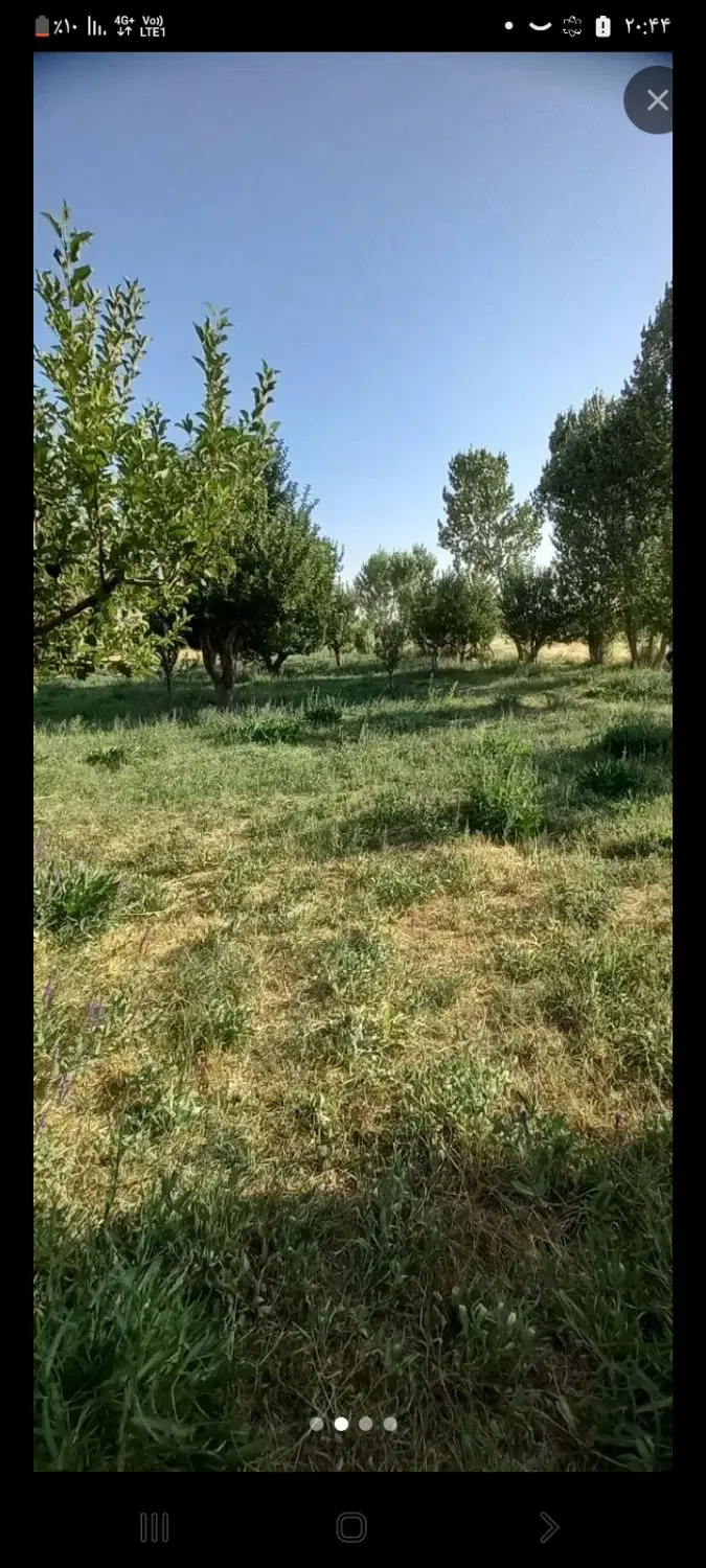 باغ فروشی واقع در روستای ورجوی