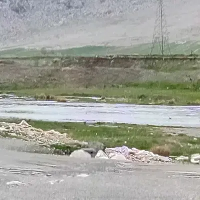 فروش زمین کشاورزی دیم سیاهکمر