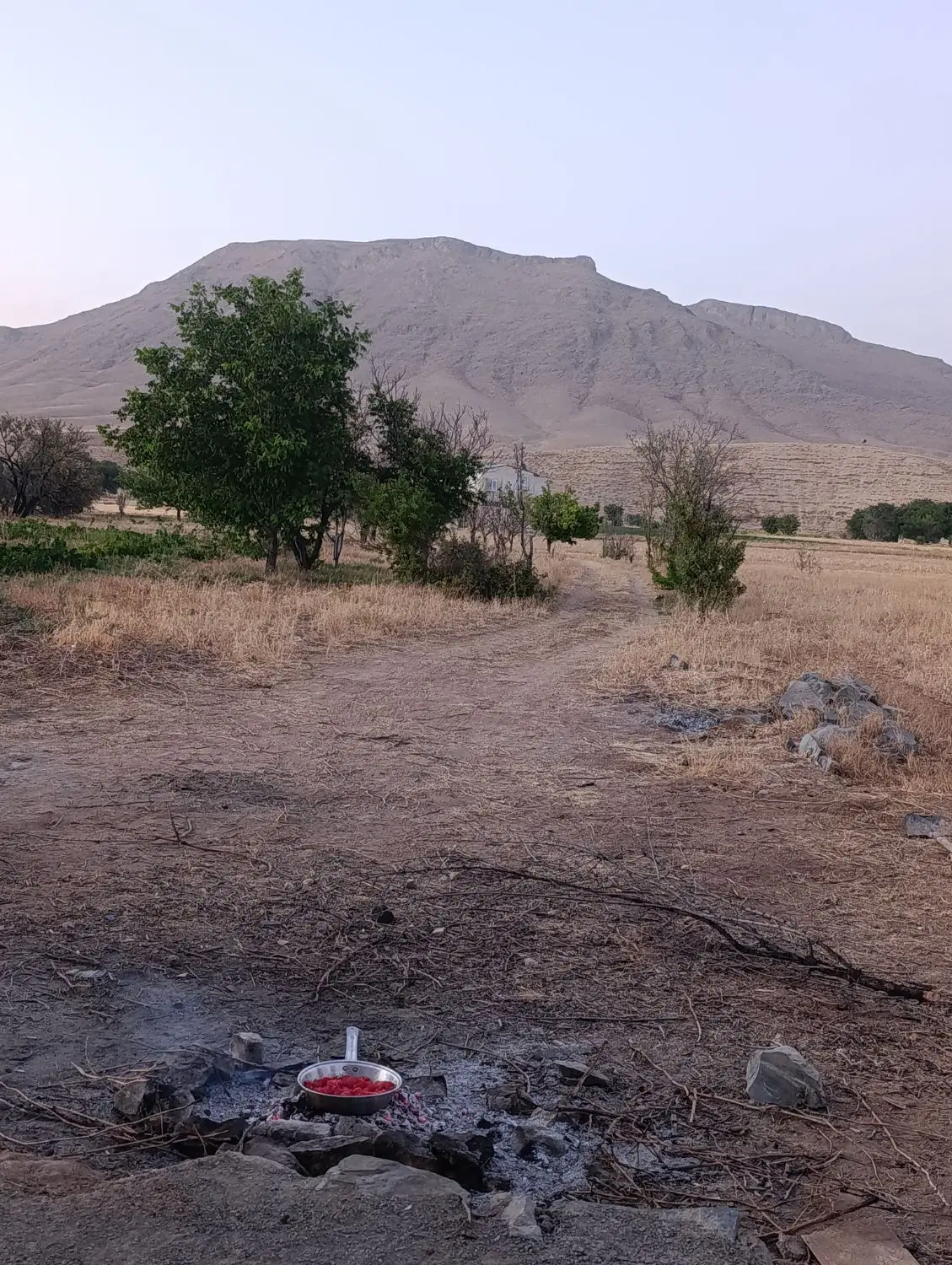 زمین باغ