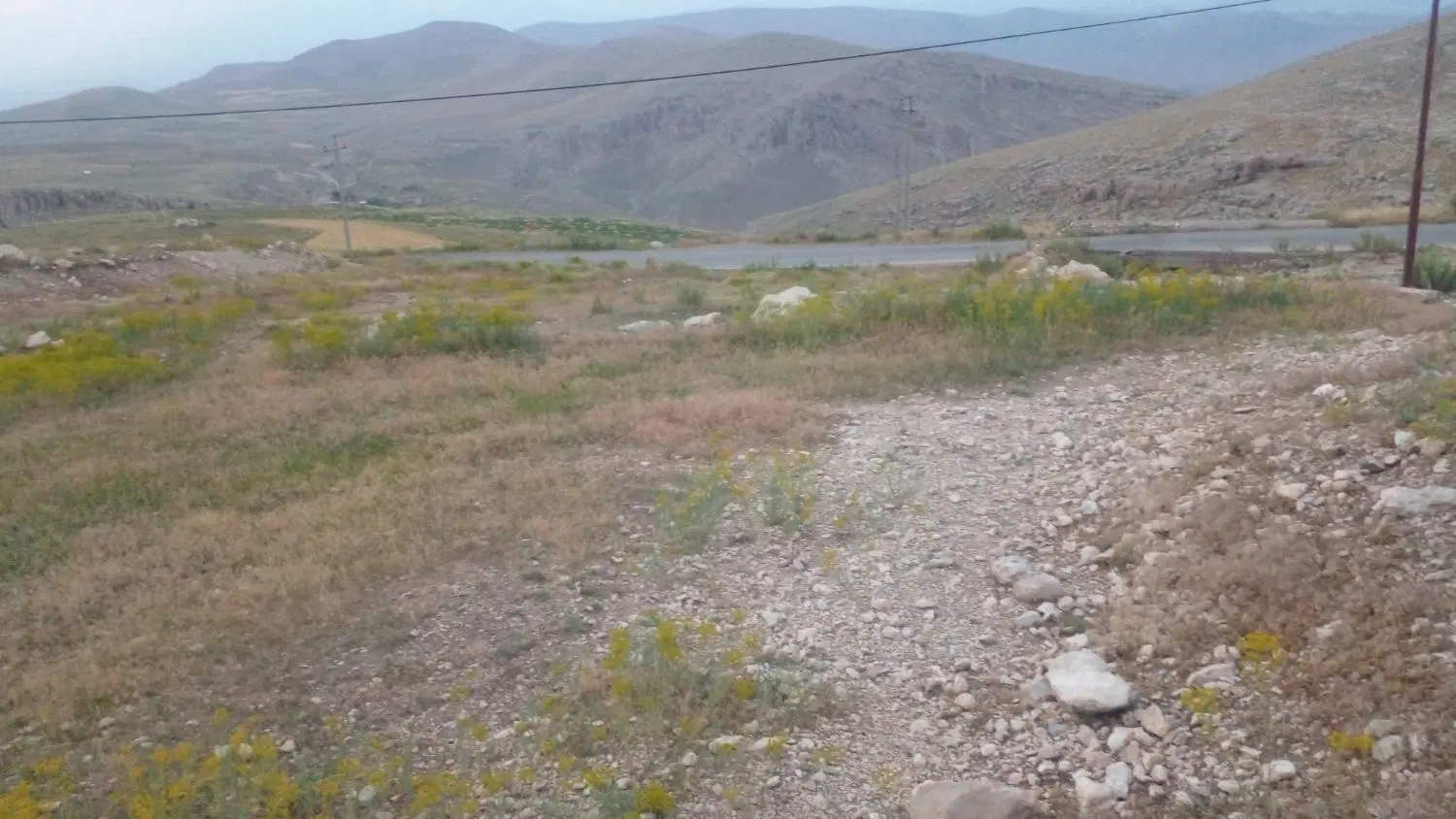 زمین زراعی و باغ در روستای تکمه عجم