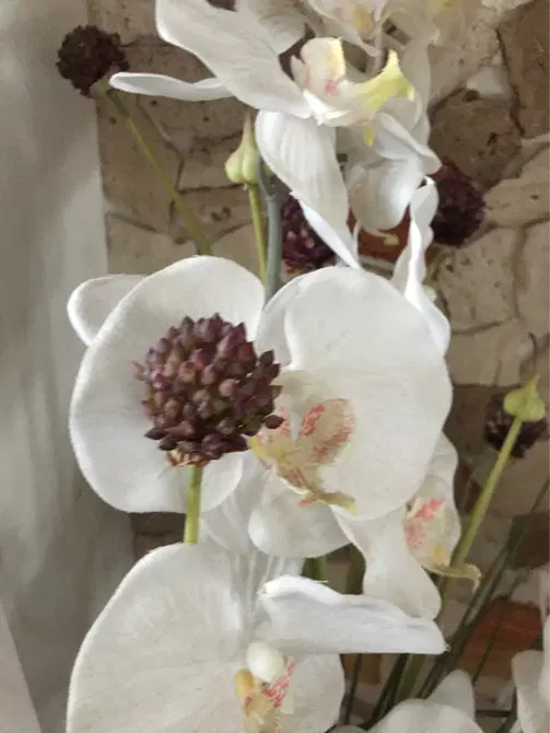 غرفه در بازار کاسپین گذر ۵ شماره ۲*۱۸