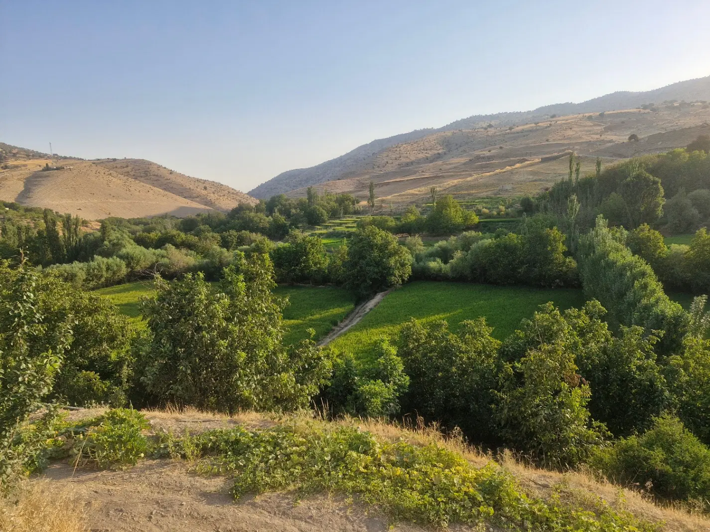 زمین مسکونی