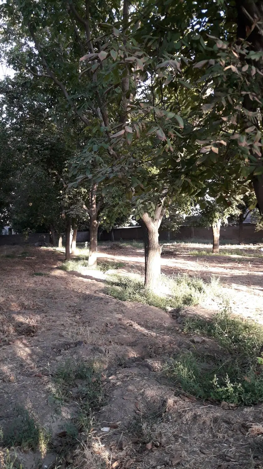 ۱۱۳۰مترباغ چهاردیواری دارای اب چاه