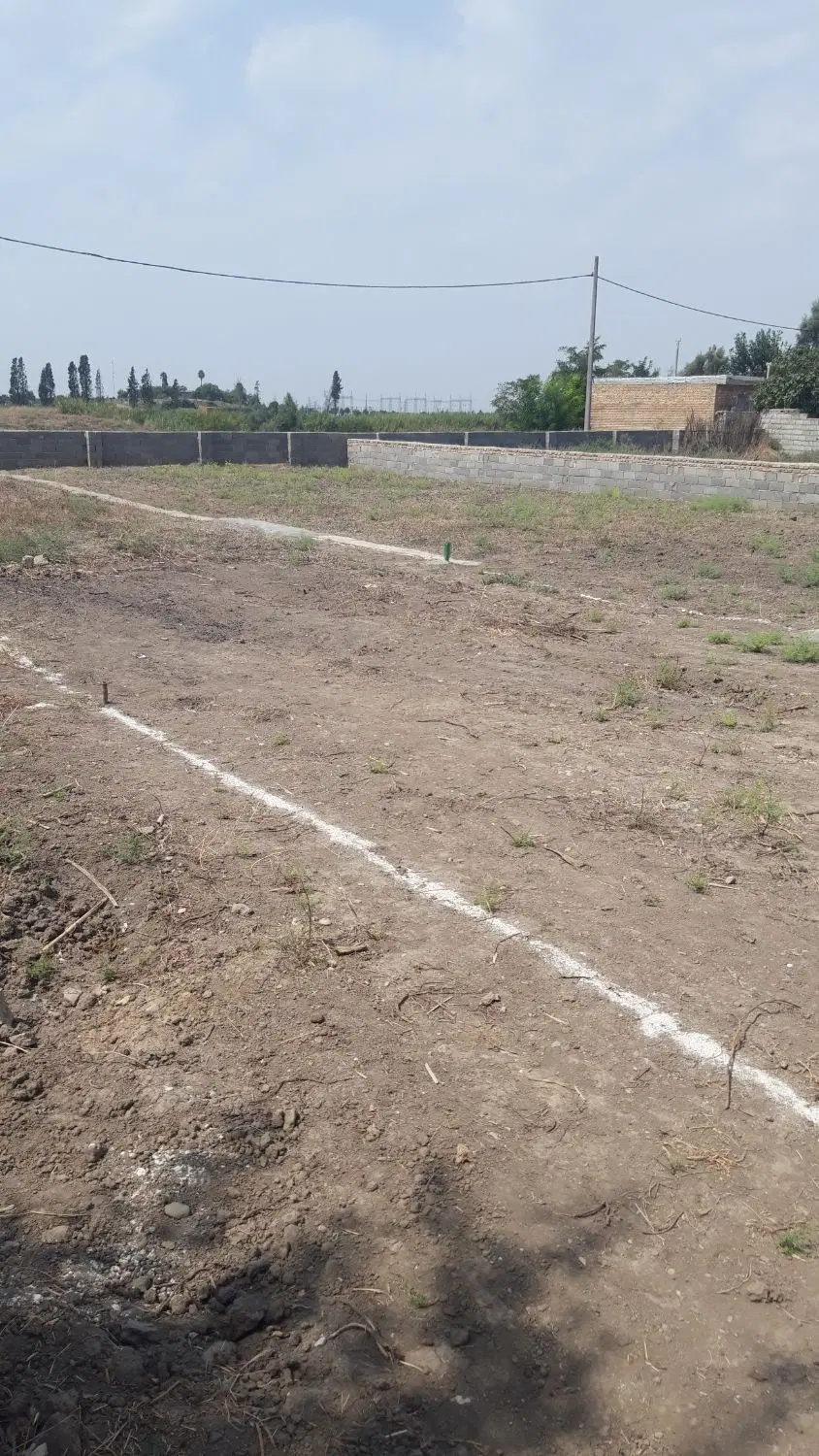 اجاره زمین براگندم کاری