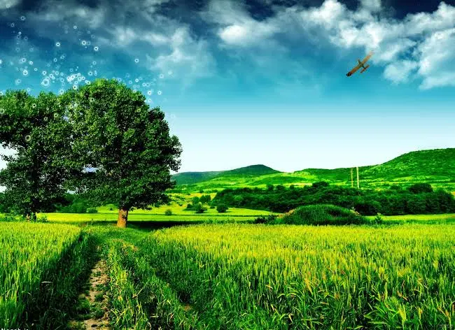 ۲۴۶ متر زمین دو بر قابلیت ساخت