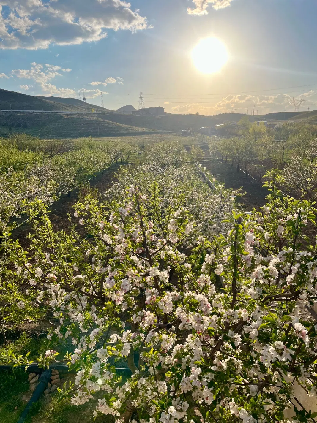 خونه باغ تکمیل و تجهیز