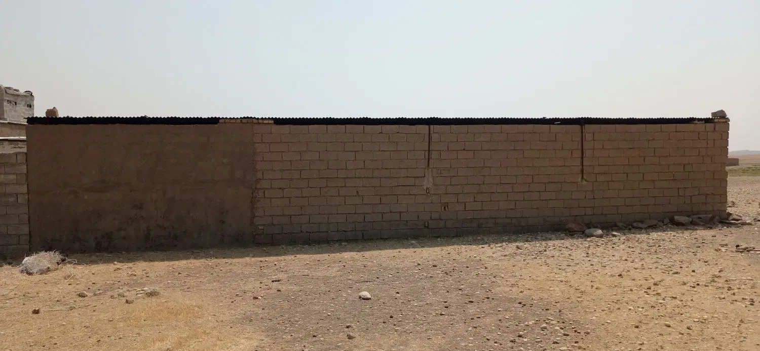 دامداری