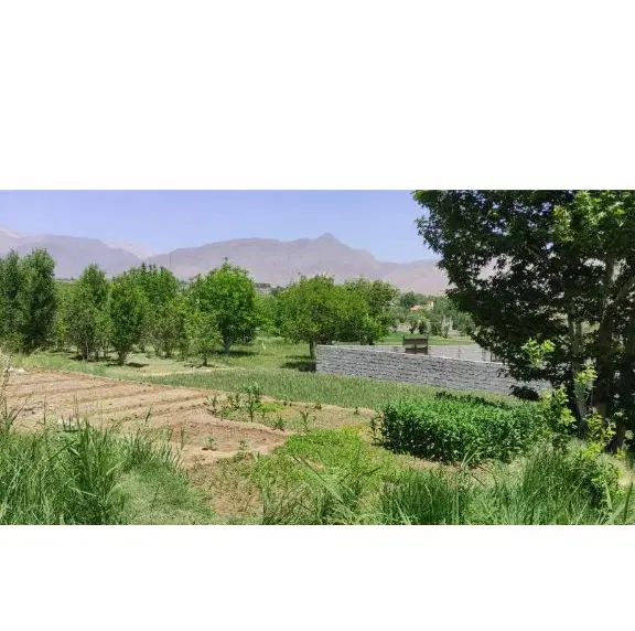 20قصب زمین کوهپایه