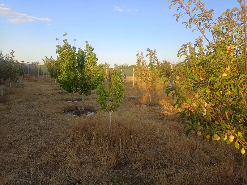 فروش باغ تفریجان