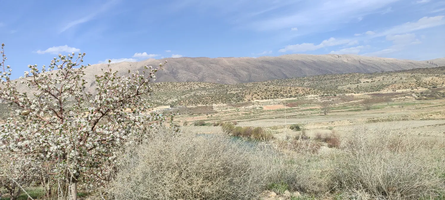 زمین ۱۰۰۰ متری کوچه ۴۸ دکتر حسابی