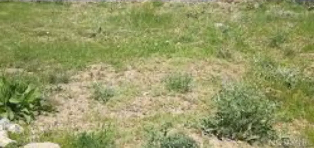 زمین فروشی