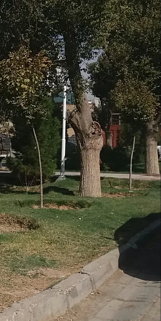 اجاره منزل ویلایی