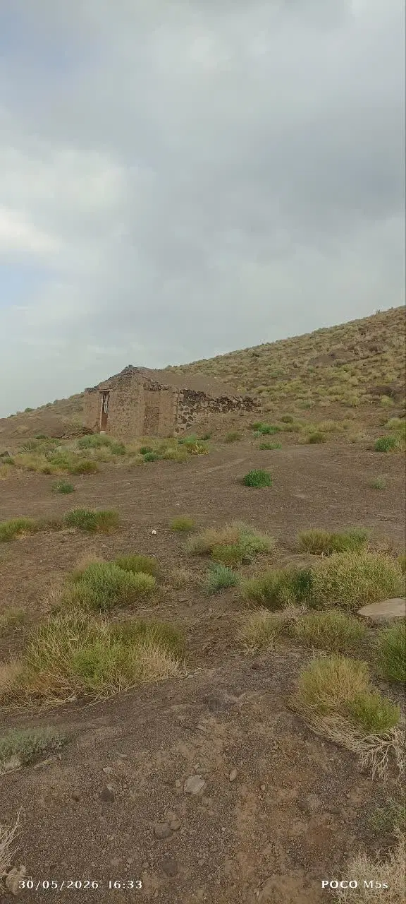 ۲حبه قنات راین