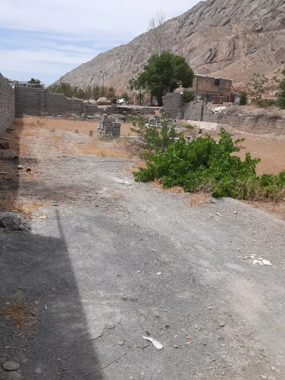 زمین باغی