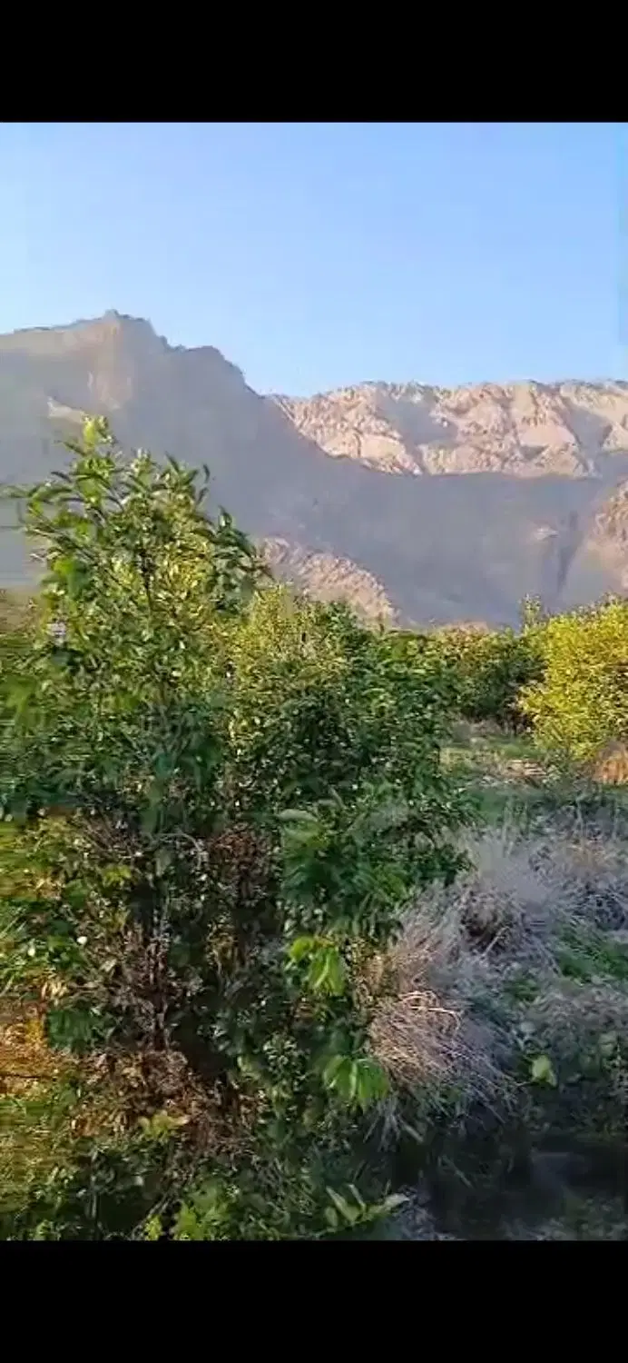 فروش یک هکتارباغ مرکبات