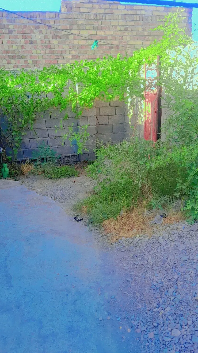 خانه اجاره ای