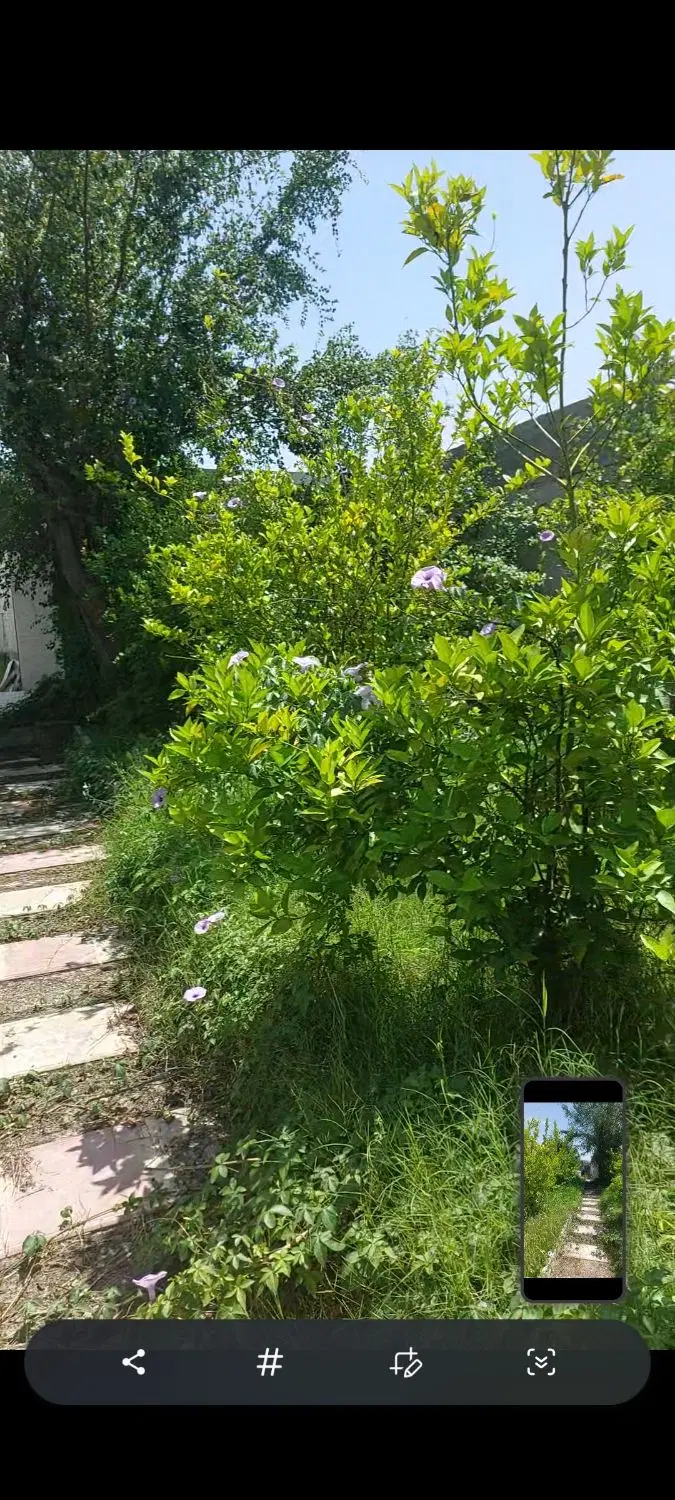 خانه ویلایی