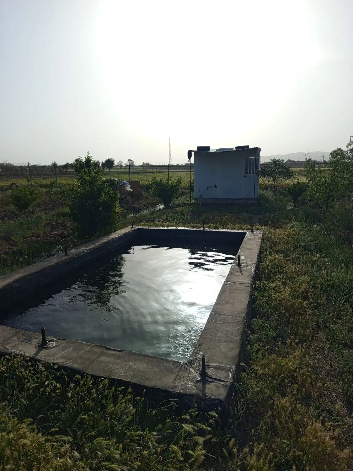 باغ تربت حیدریه